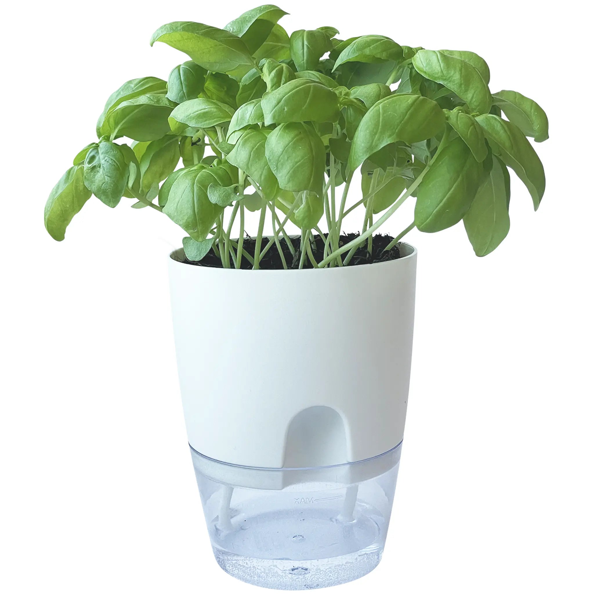 GROWIN - Self Watering Pot