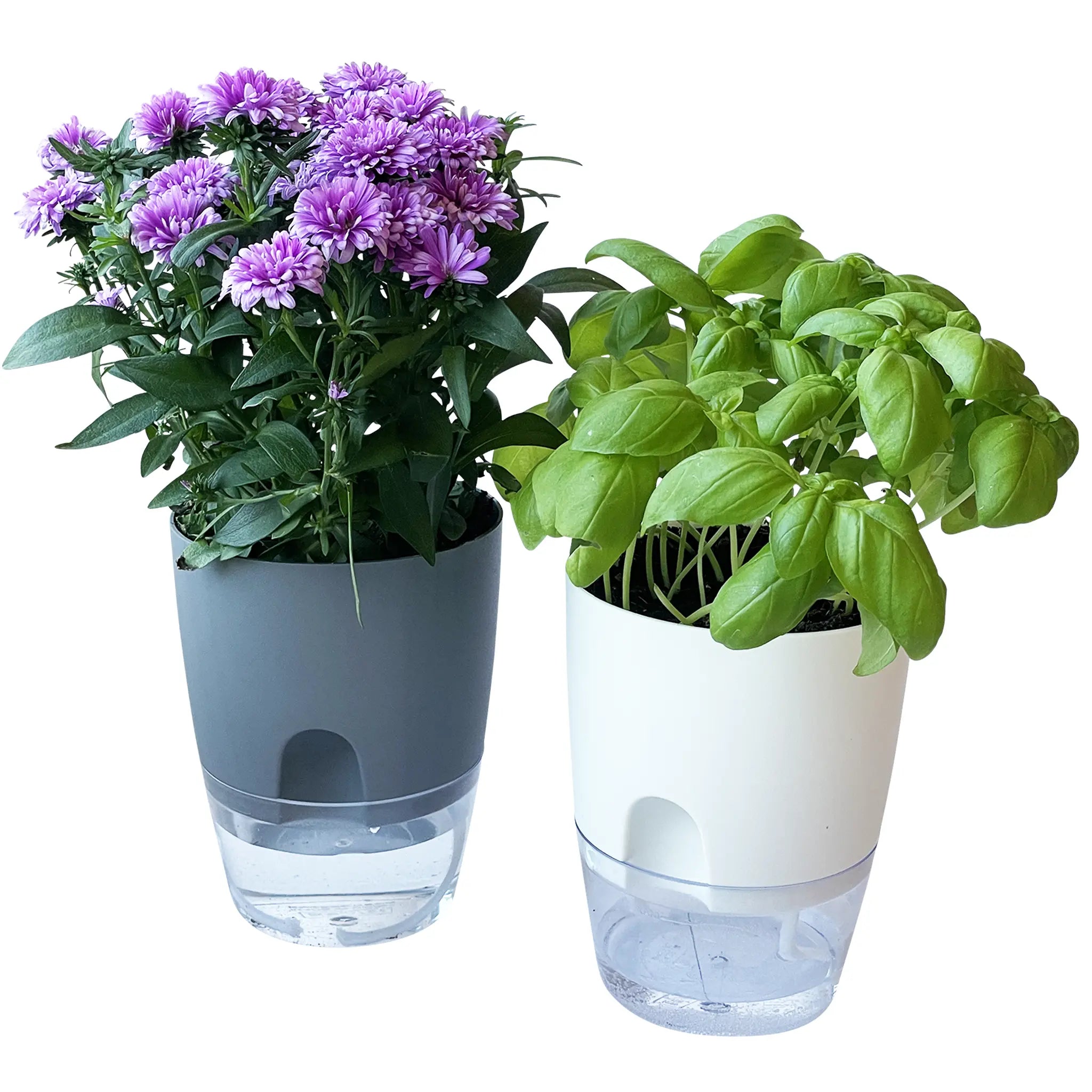 GROWIN - Self Watering Pot